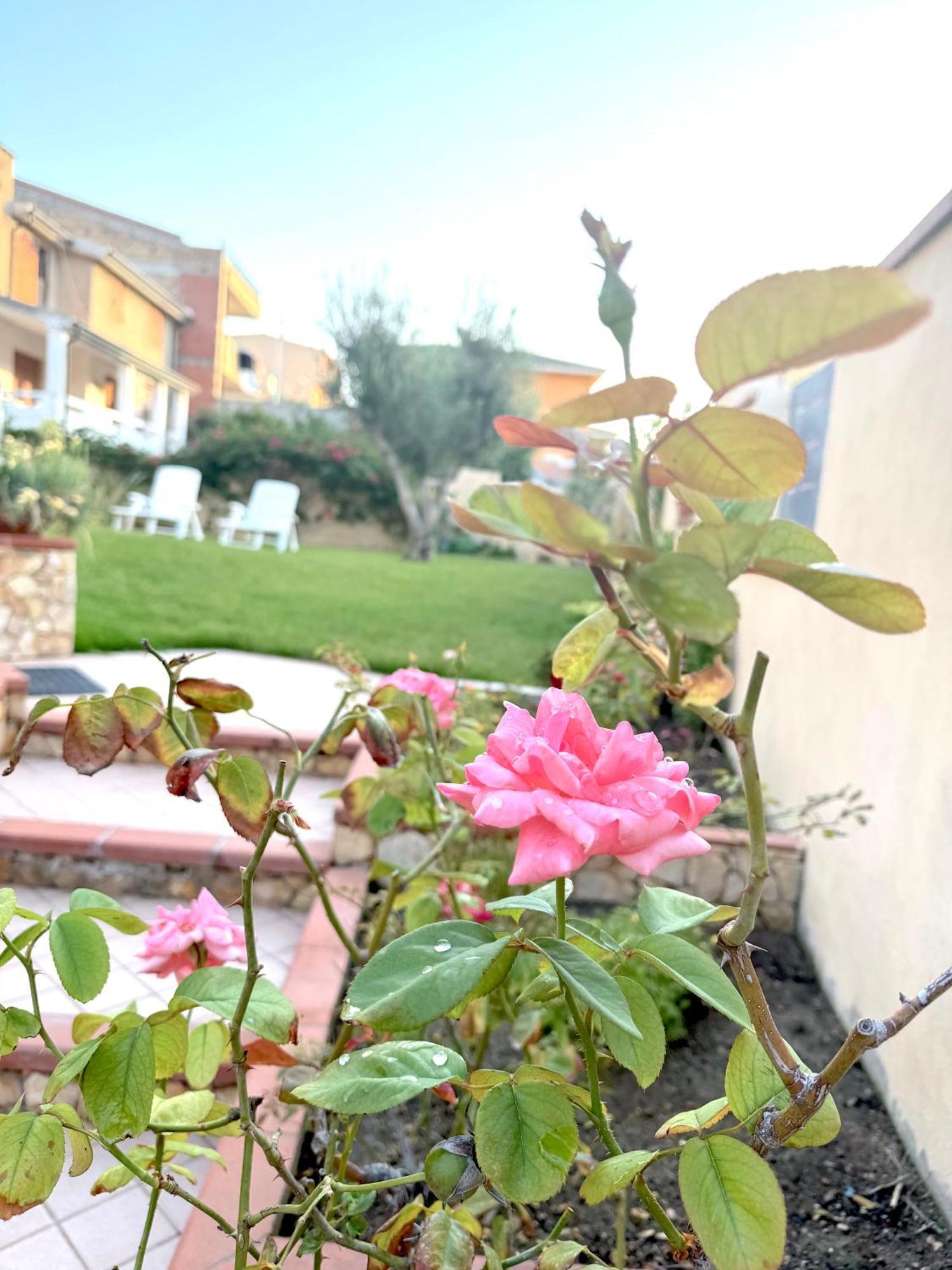 Rosa'S House - Zona Ospedaliera Appartement Cagliari Buitenkant foto